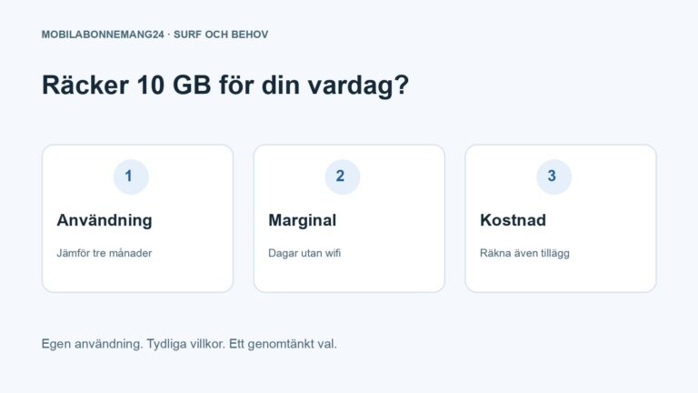 Räcker 10 GB för din vardag?: Användning, Marginal, Kostnad. Redaktionell beslutsillustration.