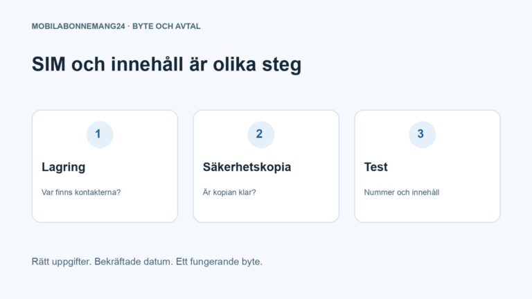 SIM och innehåll är olika steg: Lagring, Säkerhetskopia, Test. Redaktionell beslutsillustration.