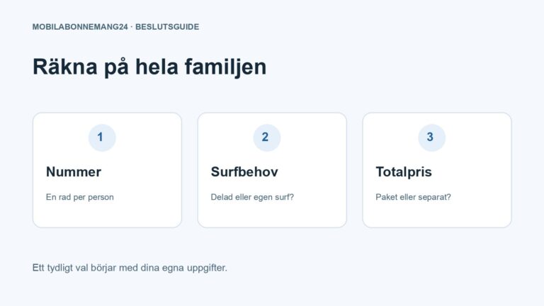 Räkna på hela familjen: Nummer, Surfbehov, Totalpris. Redaktionell beslutsillustration.