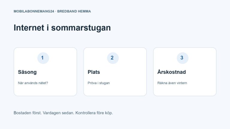 Internet i sommarstugan: Säsong, Plats, Årskostnad. Redaktionell beslutsillustration.