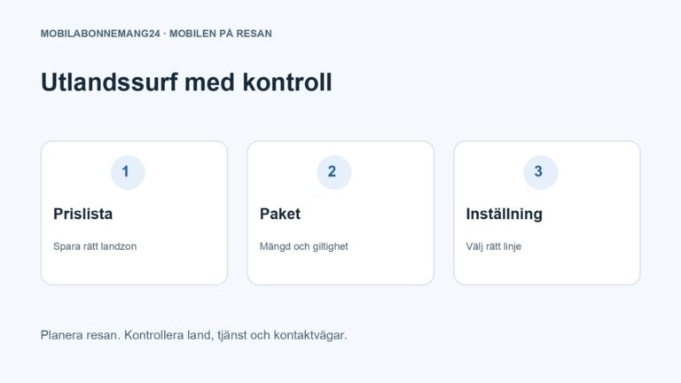 Utlandssurf med kontroll: Prislista, Paket, Inställning. Redaktionell beslutsillustration.