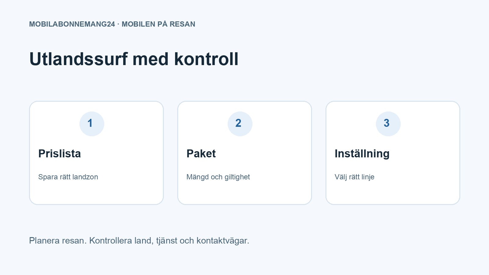 Utlandssurf med kontroll: Prislista, Paket, Inställning. Redaktionell beslutsillustration.