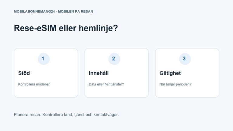 Rese-eSIM eller hemlinje?: Stöd, Innehåll, Giltighet. Redaktionell beslutsillustration.