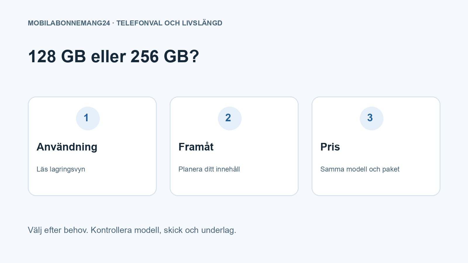 128 GB eller 256 GB?: Användning, Framåt, Pris. Redaktionell beslutsillustration.