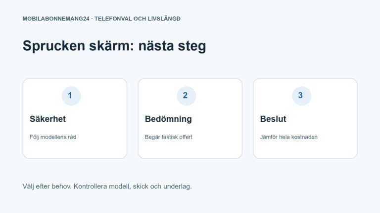 Sprucken skärm: nästa steg: Säkerhet, Bedömning, Beslut. Redaktionell beslutsillustration.