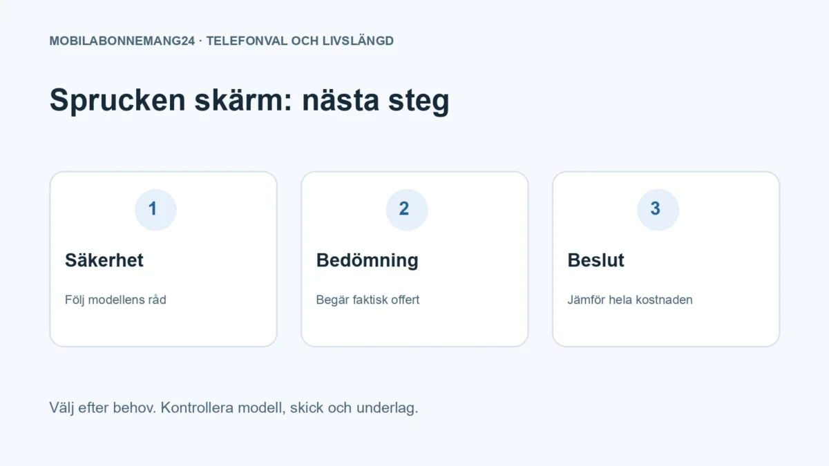 Sprucken skärm: nästa steg: Säkerhet, Bedömning, Beslut. Redaktionell beslutsillustration.